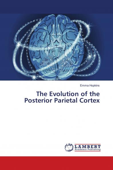 The Evolution of the Posterior Parietal Cortex