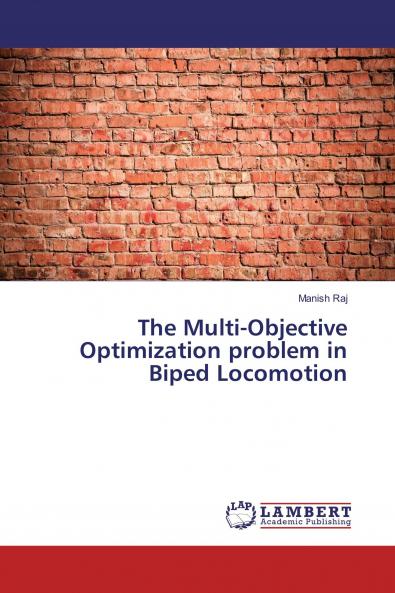 The Multi-Objective Optimization problem in Biped Locomotion