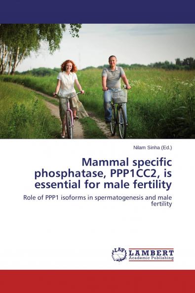 Mammal specific phosphatase PPP1CC2 is essential for male fertility