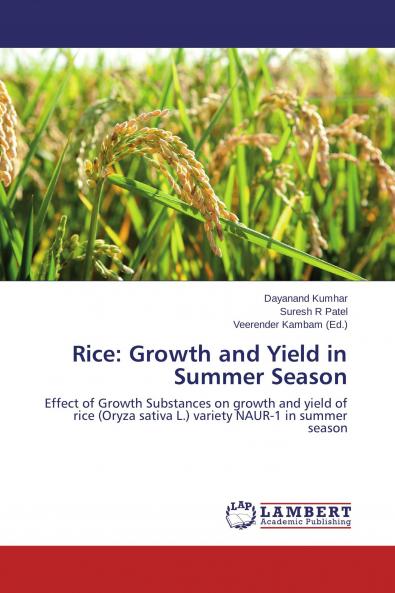 Rice