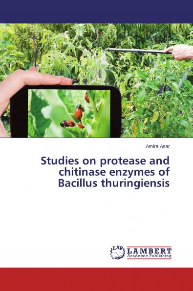 Studies on protease and chitinase enzymes of Bacillus thuringiensis
