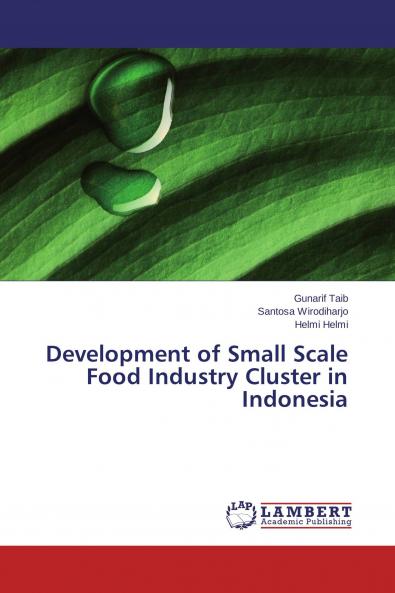 Development of Small Scale Food Industry Cluster in Indonesia