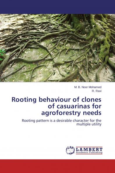 Rooting behaviour of clones of casuarinas for agroforestry needs