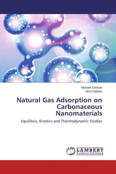 Natural Gas Adsorption on Carbonaceous Nanomaterials