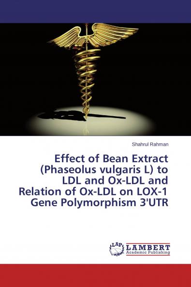 Effect of Bean Extract (Phaseolus vulgaris L) to LDL and Ox-LDL and Relation of Ox-LDL on LOX-1 Gene Polymorphism 3'UTR