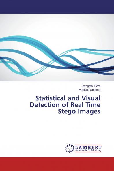 Statistical and Visual Detection of Real Time Stego Images