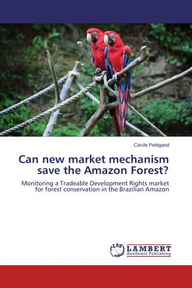 Can new market mechanism save the Amazon Forest?