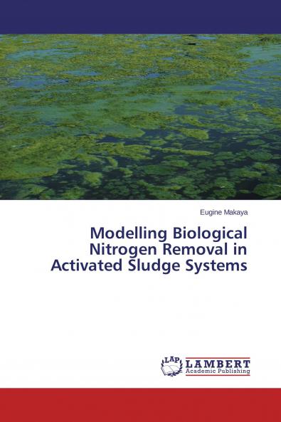 Modelling Biological Nitrogen Removal in Activated Sludge Systems