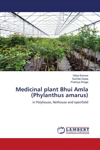 Medicinal plant Bhui Amla (Phylanthus amarus)