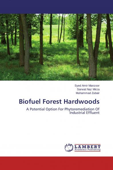 Biofuel Forest Hardwoods