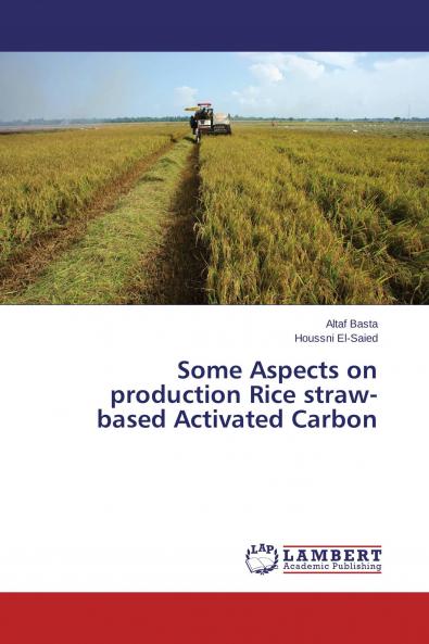 Some Aspects on production Rice straw-based Activated Carbon