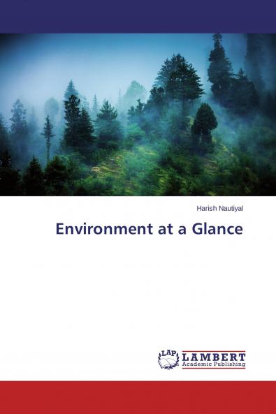 Environment at a Glance
