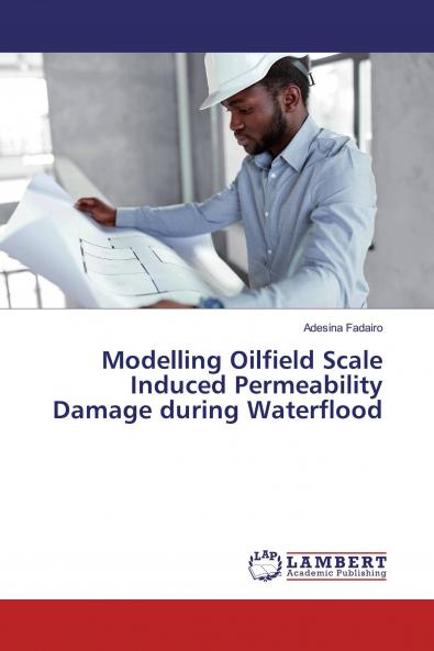 Modelling Oilfield Scale Induced Permeability Damage during Waterflood
