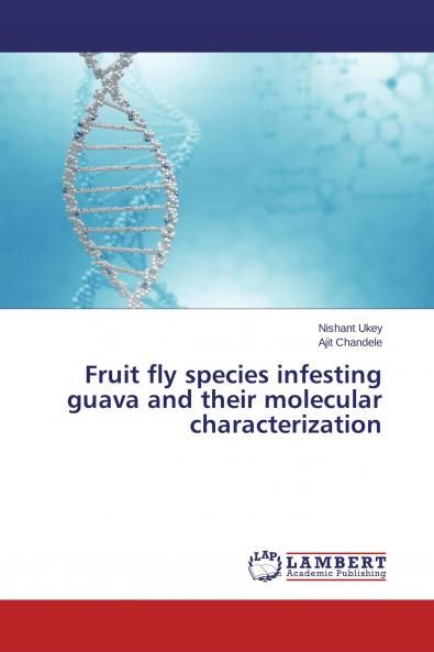 Fruit fly species infesting guava and their molecular characterization