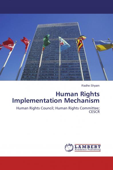 Human Rights Implementation Mechanism