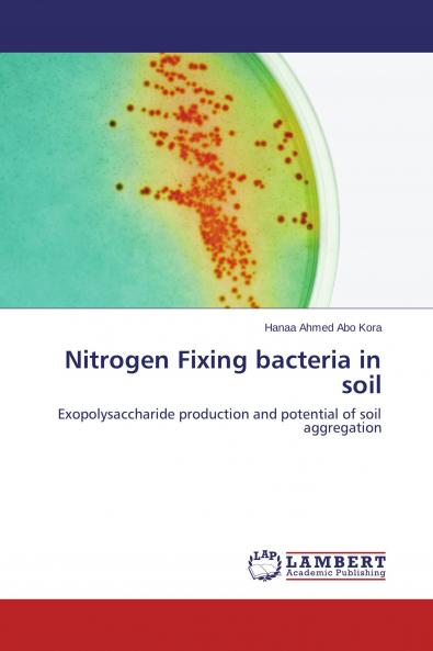 Nitrogen Fixing bacteria in soil