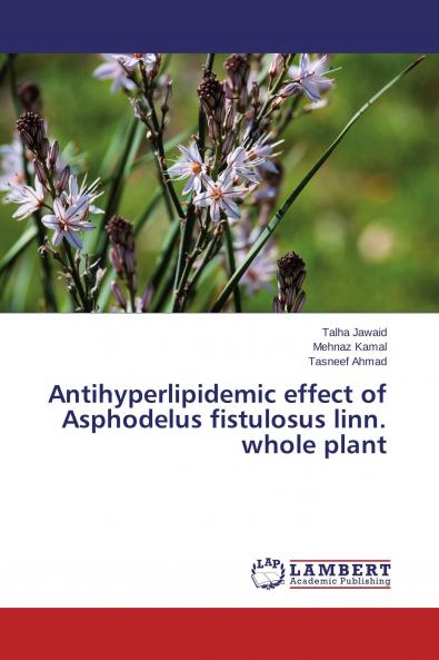 Antihyperlipidemic effect of Asphodelus fistulosus linn. whole plant