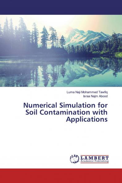 Numerical Simulation for Soil Contamination with Applications