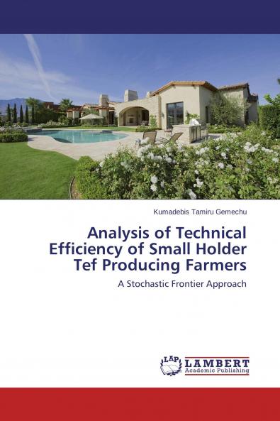 Analysis of Technical Efficiency of Small Holder Tef Producing Farmers