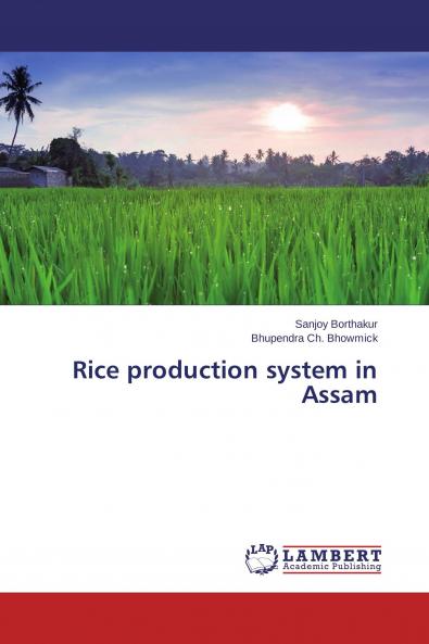 Rice production system in Assam