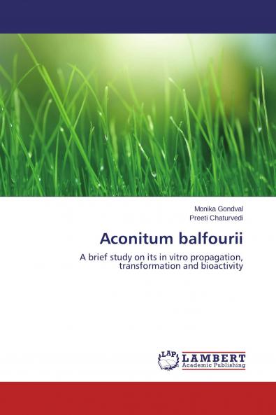 Aconitum balfourii