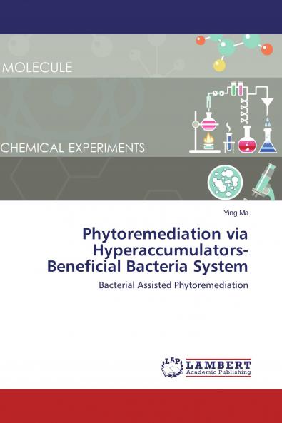 Phytoremediation via Hyperaccumulators-Beneficial Bacteria System