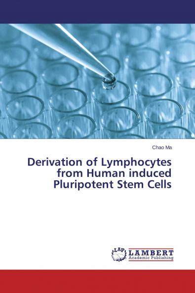 Derivation of Lymphocytes from Human induced Pluripotent Stem Cells