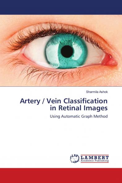 Artery / Vein Classification in Retinal Images