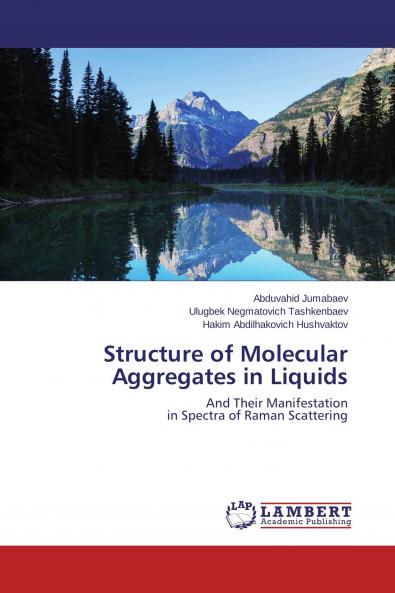 Structure of Molecular Aggregates in Liquids