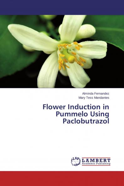 Flower Induction in Pummelo Using Paclobutrazol