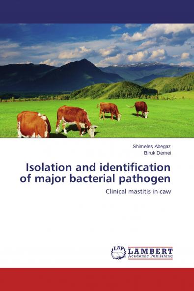 Isolation and identification of major bacterial pathogen
