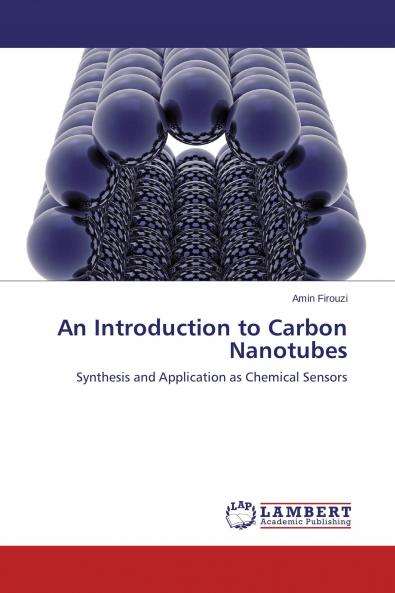 An Introduction to Carbon Nanotubes