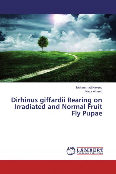 Dirhinus giffardii Rearing on Irradiated and Normal Fruit Fly Pupae