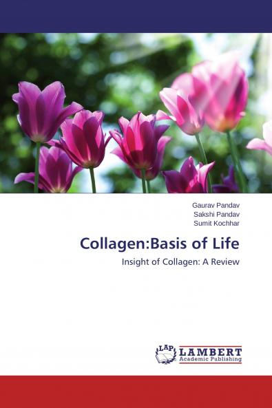 Collagen
