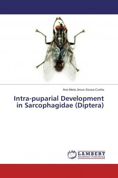Intra-puparial Development in Sarcophagidae (Diptera)