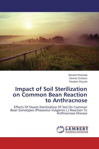 Impact of Soil Sterilization on Common Bean Reaction to Anthracnose