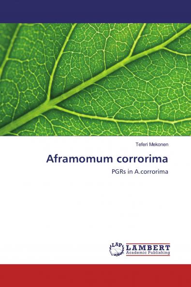 Aframomum corrorima
