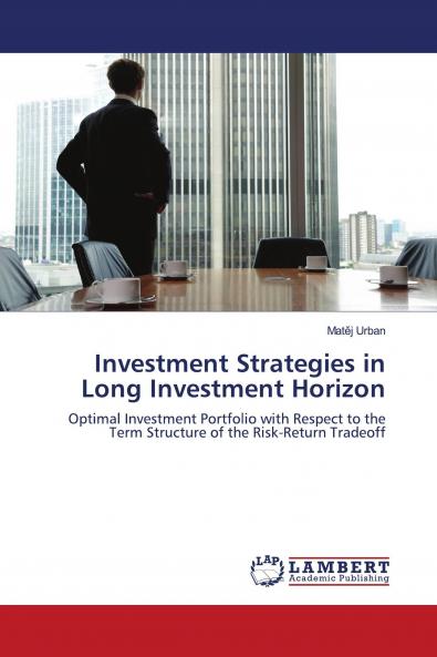 Investment Strategies in Long Investment Horizon