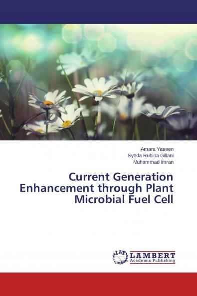 Current Generation Enhancement through Plant Microbial Fuel Cell