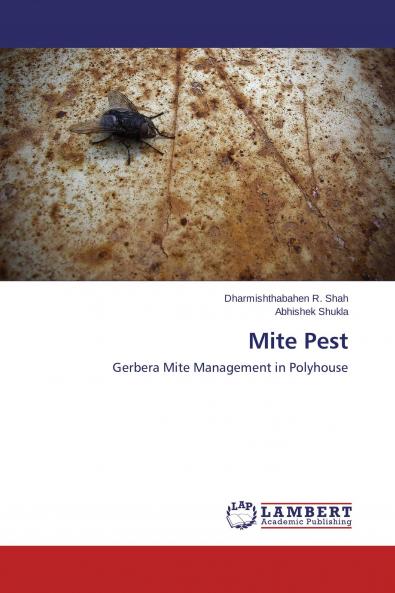 Mite Pest