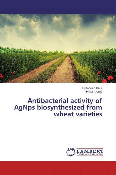 Antibacterial activity of AgNps biosynthesized from wheat varieties