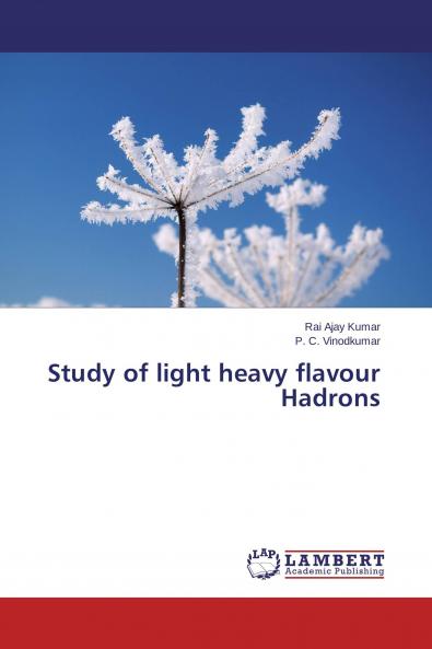 Study of light heavy flavour Hadrons