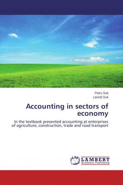 Accounting in sectors of economy