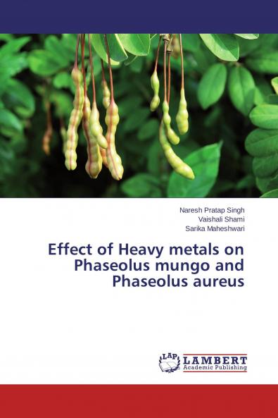 Effect of Heavy metals on Phaseolus mungo and Phaseolus aureus