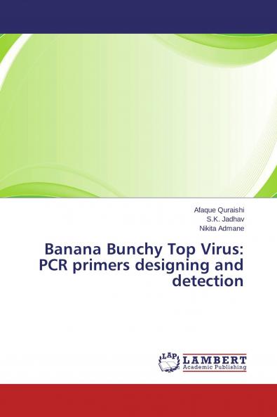 Banana Bunchy Top Virus