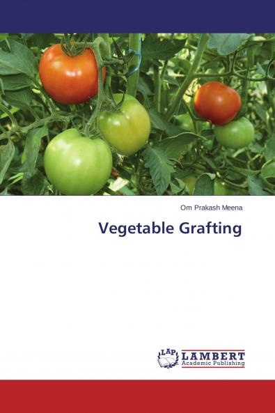 Vegetable Grafting
