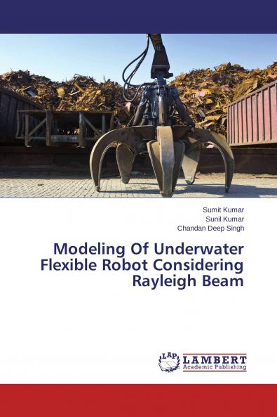 Modeling Of Underwater Flexible Robot Considering Rayleigh Beam