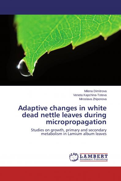 Adaptive changes in white dead nettle leaves during micropropagation