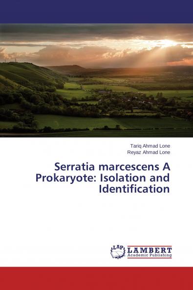 Serratia marcescens A Prokaryote