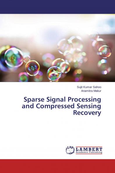 Sparse Signal Processing and Compressed Sensing Recovery